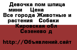 Девочка пом шпица мини  › Цена ­ 30 000 - Все города Животные и растения » Собаки   . Кировская обл.,Сезенево д.